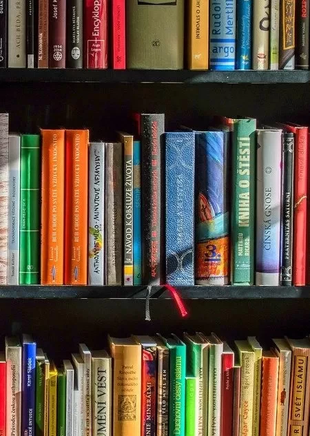                                                                                                             Каталог книг